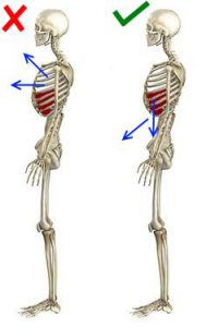 Aikido Almere Ademhaling