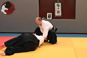 Aikido Almere Dick Willems