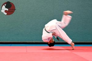 Aikido Talent Ontwikkelingsprogramma TO1 Aikidojo Poort Almere