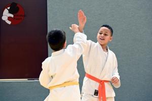 Aikido Talent Ontwikkelingsprogramma TO1 Aikidojo Poort Almere