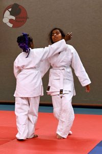 Aikido Examens Almere