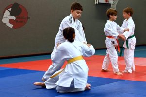 Aikido Examens Almere