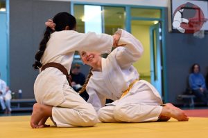Aikido Examens Almere