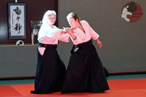 Herdenkingsstage Erik Louw Aikidojo Poort Almere 2025