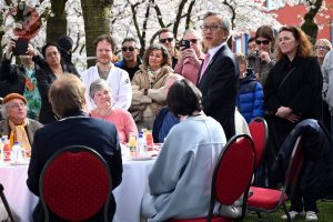 Kersenbloesemfestival Almere 2025