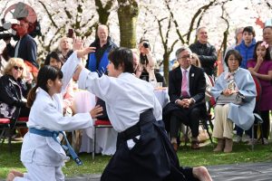 Kersenbloesemfestival Almere 2025