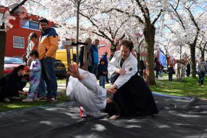 Kersenbloesemfestival Almere 2025