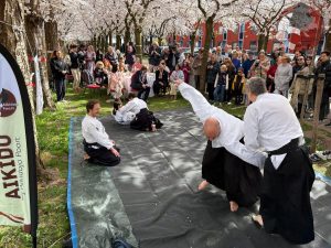 Kersenbloesemfestival Almere 2025